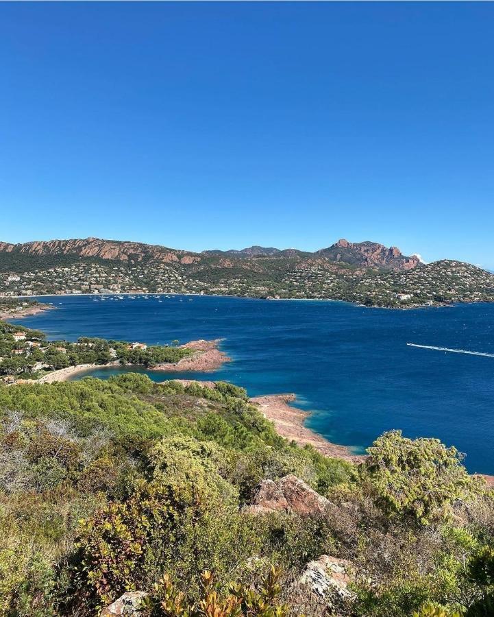 Cannes - Appartement Cosy Et Lumineux Екстериор снимка